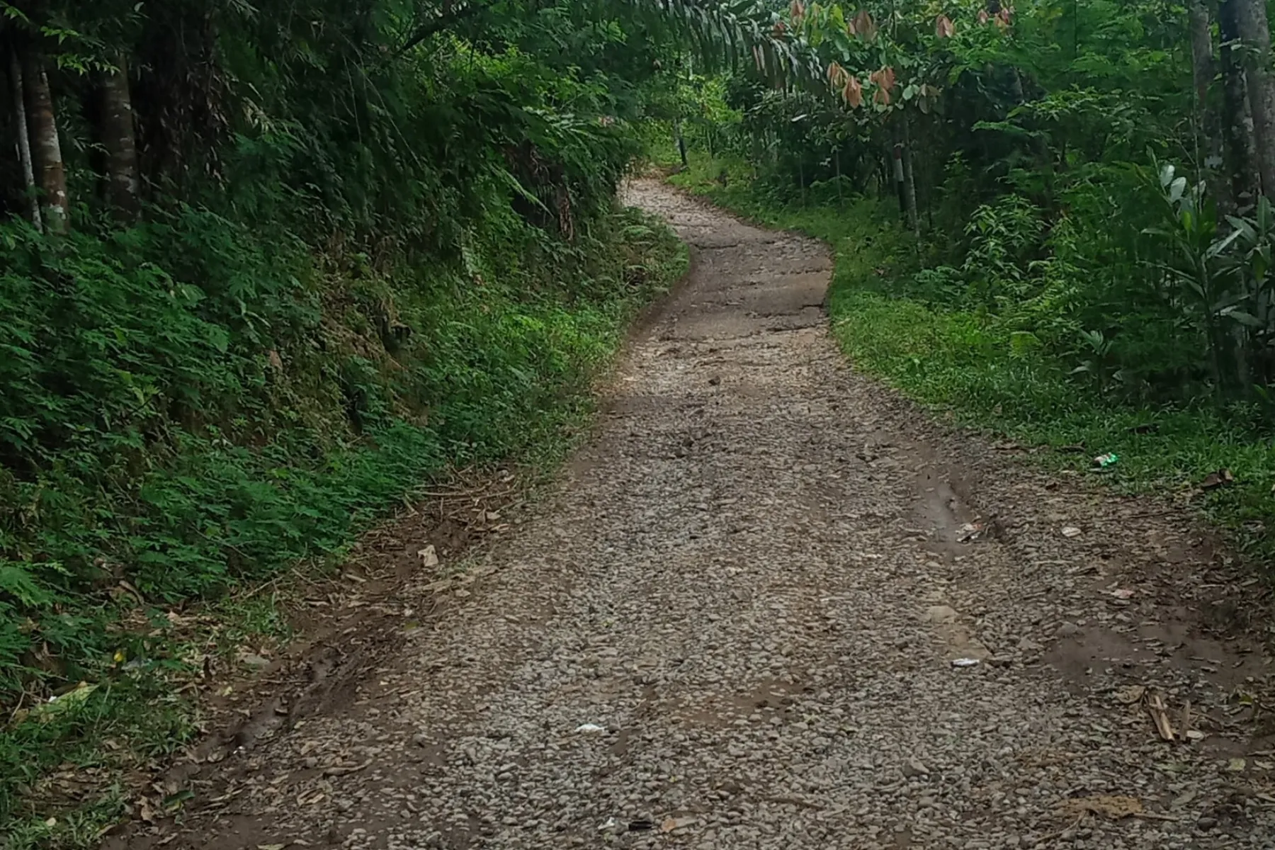 Foto jalan desa di Sukabumi, Jawa Barat