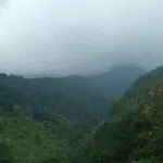 Hutan Jabar Menyusut 80 Persen, Tiga Komunitas Gagas Aliansi Hijau