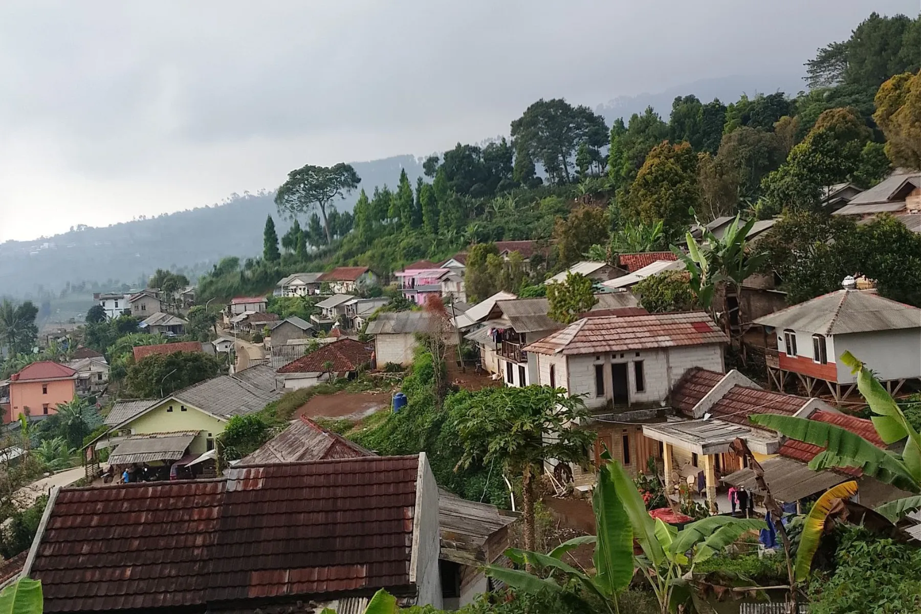 Jalan Alternatif Puncak 2 Dibangun Bukan Alasan Ubah Tata Ruang