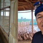 Mahasiswa Demo, Jokowi Lihat Bebek Orang Tua Pusing PCMB, KDM Panen Telur Bebek