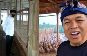 Mahasiswa Demo, Jokowi Lihat Bebek Orang Tua Pusing PCMB, KDM Panen Telur Bebek