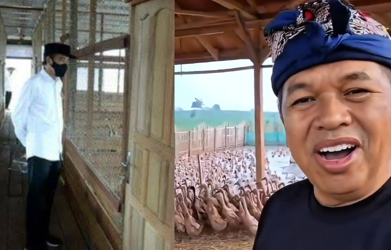 Mahasiswa Demo, Jokowi Lihat Bebek Orang Tua Pusing PCMB, KDM Panen Telur Bebek