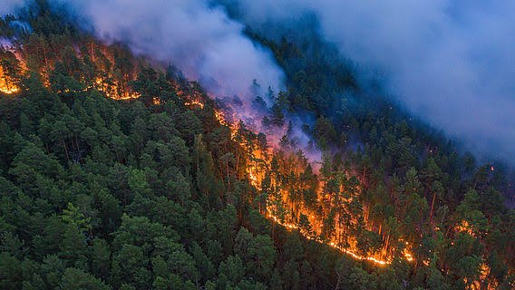 Dedi Mulyadi Minta Pendakian Gunung di Cianjur dan Bogor Ditunda