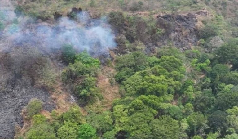 KDM Sebut Kebakaran 30 Hektare di Gunung Ciremai Relatif Terkendali